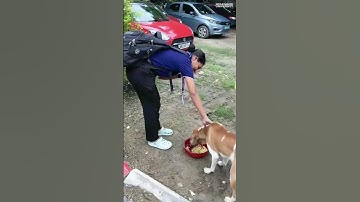 NSS Activity | Brainware University #shorts