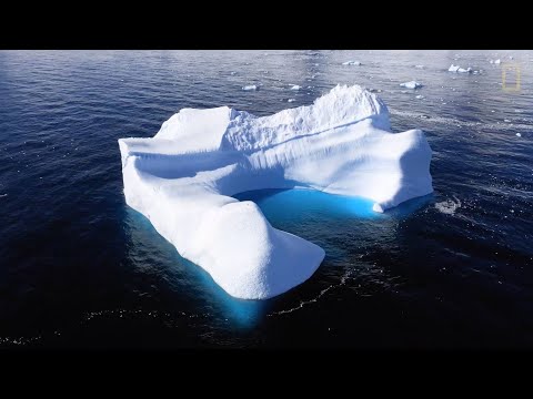 THE ANTARCTIC PENINSULA | NATIONAL GEOGRAPHIC PRISTINE SEAS