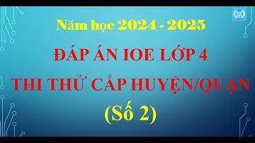 Đáp án IOE lớp 4 - Thi thử cấp quận/huyện - Số 2 (năm học 2024 - 2025)