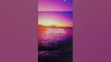 Thumbnail of [MY FAV SONG!] 🐕🎶 I Bet On Losing Dogs 🎶🐕 / 🎶Lyrics🎶