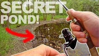 I Found a TINY POND in the WOODS!?