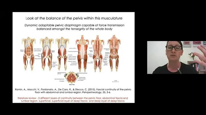 Excerpt from Balancing the Diaphragms Masterclass ...