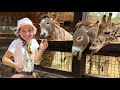 Веселое приключение Софии и папы в зоопарке с животными