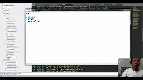 Bài 106 : Lập trình website bán hàng Laravel - Middleware route Laravel
