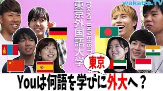 東京外国語大学キャンパス調査！Youは何語を学びに外大へ? 【wakatte.TV】#264