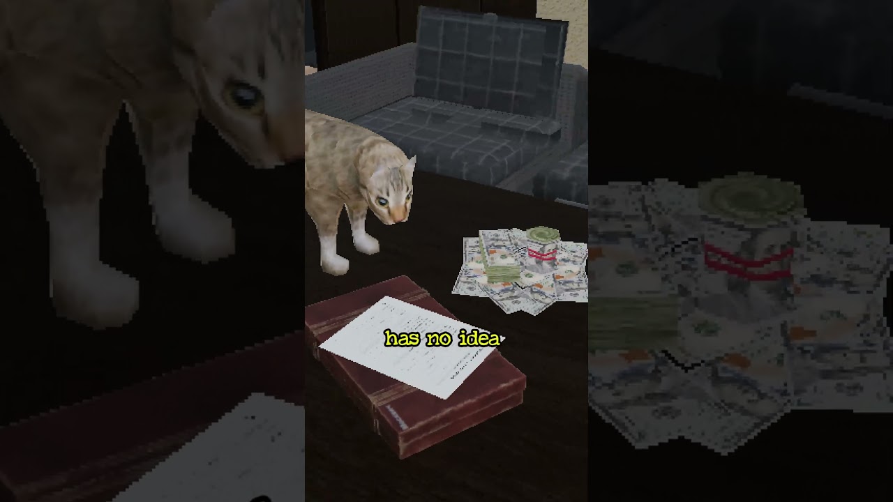 What Your Cat Thinks You're Doing When You Leave The House?