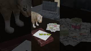 What Your Cat Thinks You're Doing When You Leave The House?