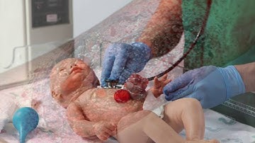 Moulage Concepts Trailer