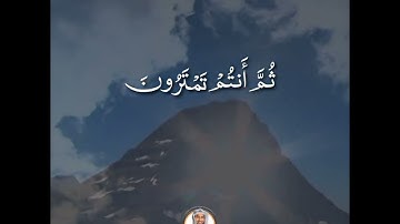 بداية سورة الأنعام SURAH AL-ANAAM #عبدالولي_الاركاني #abdulwali_alarkani