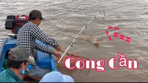 Hành Trình Đi Câu Cá Ngát Sông Miền Tây | TRÚNG MÁNH | Vũ Vlog 69