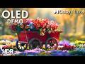 Epic Flower Blooming OLED in 120FPS | HDR & Dolby Vision (4K/8 TV)