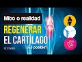 Cómo ¿Regenerar el cartílago?