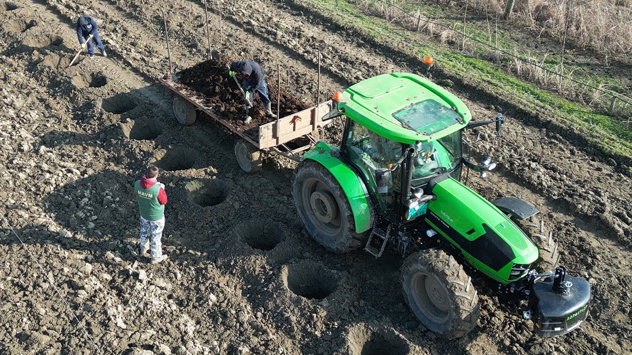 Prednosti jesenje sadnje voća – Zašto je jesen idealno vreme za sadnju?