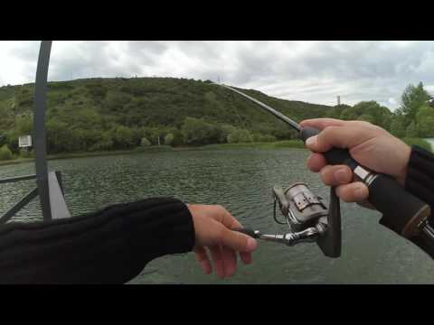 თევზაობა ქორჭილაზე კუს ტბა /Ловля окуня - \"Отводной поводок\"