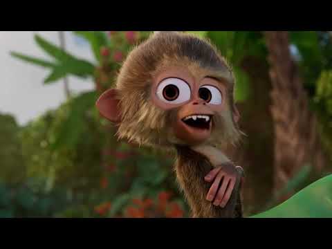 Video - Panda u Africi