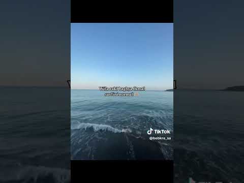 ويلا راكي باغية لكمال ويااا    احبك