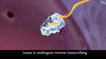 HIV Life Cycle Music Video