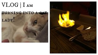 VLOG | I Am Turning Into A CAT LADY!
Hey Guys!
So todays video is pretty random to be totally honest. A little bit of a day in the life of Leah. Dont forget to subscribe, it really helps me out!
Enjoy!
Ngāmihi,
Leah x
Check out our other social media sites:
Facebook - https://www.facebook.com/Ti...
Instagram - http://instagram.com/tinanadiy
.............and now snapchat! @tinanadiy VLOG | I Am Turning Into A CAT LADY!