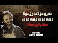 Na Ro Mola | Noha Lyrics | Nadeem Sarwar | Sajjad Haye Sajjad