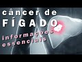 CÂNCER DE FÍGADO: tratamentos, prevenção e sintomas do câncer