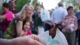 Midland Care Celebration Walk 2015 Commercial - 30 Second