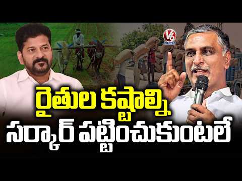 Harish Rao Visits Chickpeas Procurement Center In Sadashivpet | Sangareddy District | V6 News - V6NEWSTELUGU