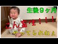 【成長過程】生後9ヶ月の実態に密着!