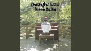 Video voorbeeld van "Jacob Koller - Nowegian Wood"