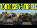 Turtle vs tortoise