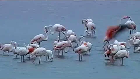 Cosa c'è in provincia di Rovigo in Veneto?