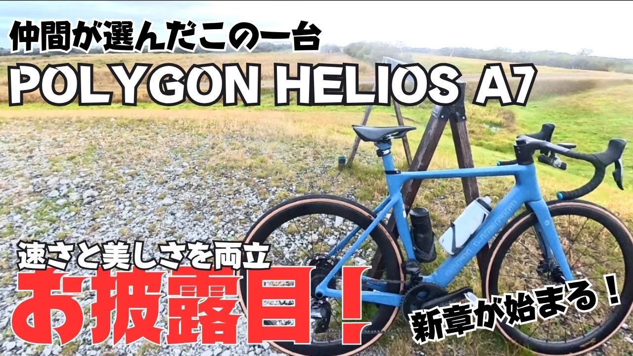 POLYGON HELIOS A7] This is the one chosen by our friends. A new