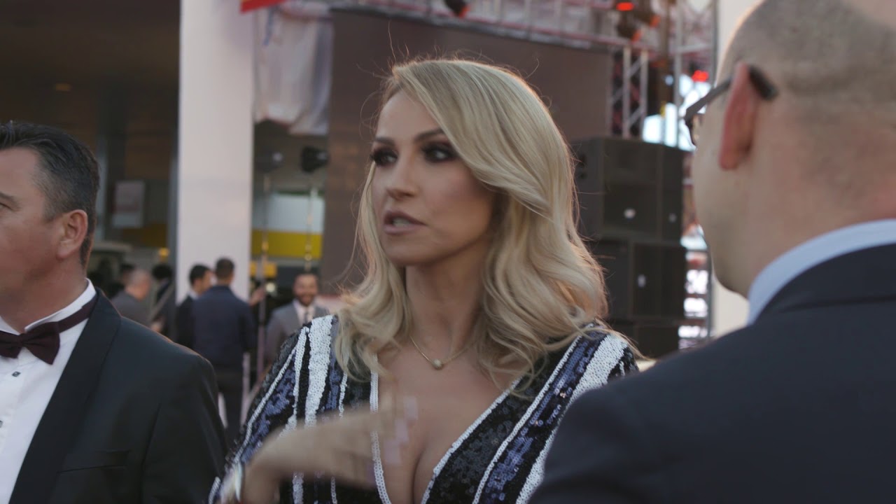 Shell story - Kosovo