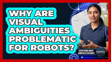 Why Are Visual Ambiguities Problematic For Robots?