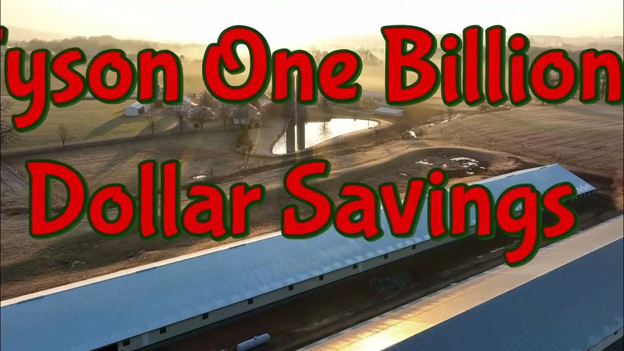 Tyson One Billion Dollar Savings, Poultry Farmers V. Tyson Foods YouTube