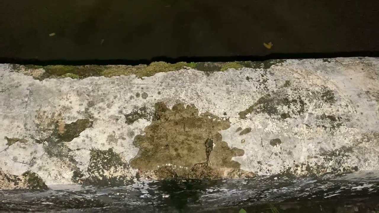 Peeing to wall in night 🌙🍃 Men pee in Nature