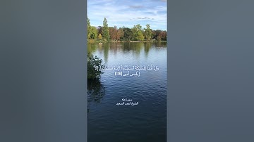 أواخر سورة طه الشيخ أحمد السعيد 