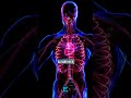 der Darm entscheidet über deine Gesundheit ! #darm #darmgesundheit #gesundheit
