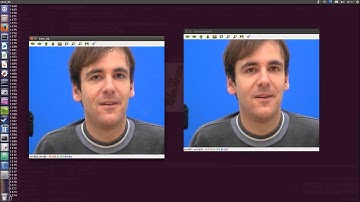 Robust Eye Center Localization through Face Alignment and Invariant Isocentric Patterns