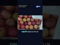 Apple đưa thêm tính năng mới vào sản phẩm | Một tin mới về sản phẩm: Apple đang cho thấy thiết bị k…