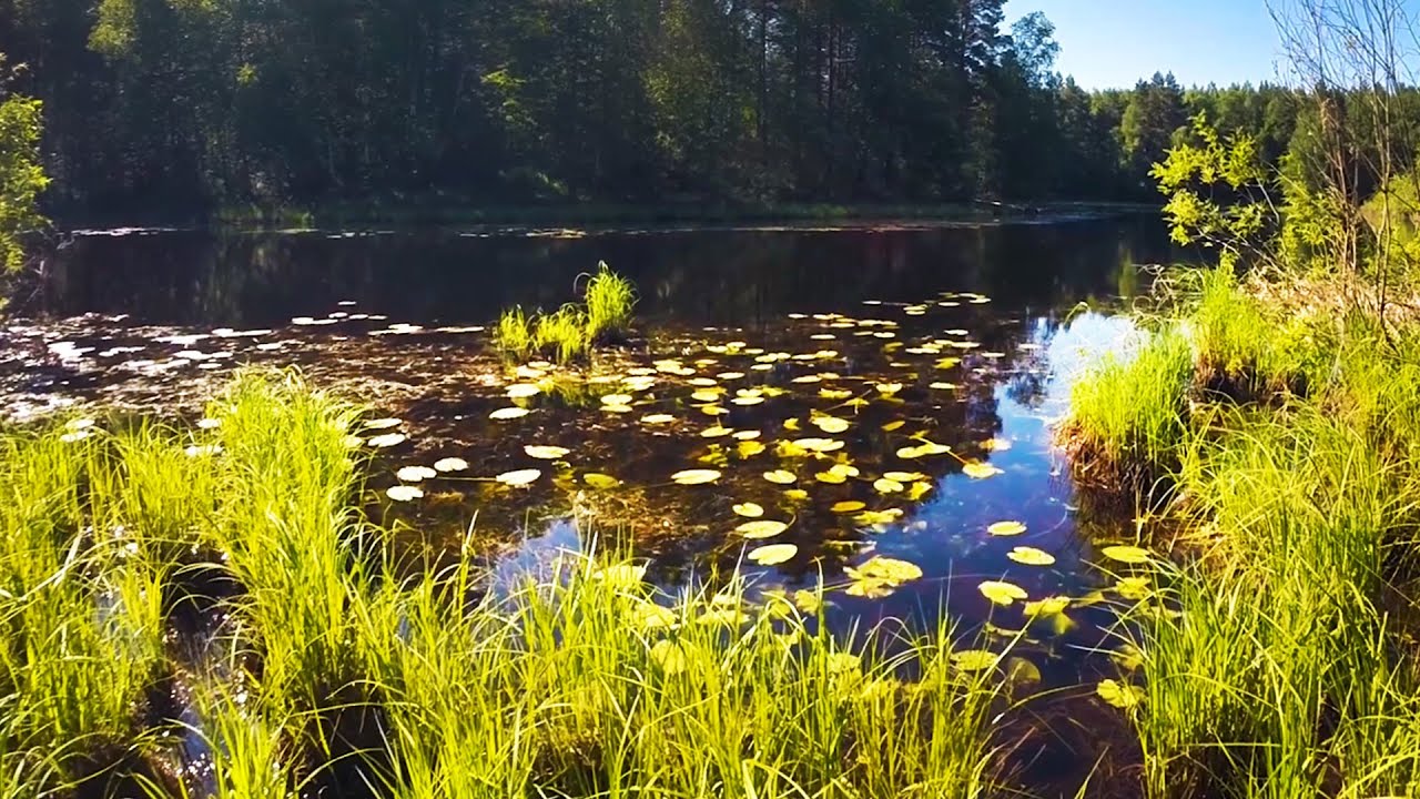 Уста река Уста река