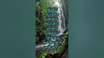 تلاوة خاشعة تهز القلوب 🌿 | سورة هود الآية 31 بصوت عذب يأسر الأرواح 💖