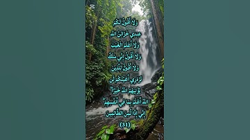 تلاوة خاشعة تهز القلوب 🌿 | سورة هود الآية 31 بصوت عذب يأسر الأرواح 💖