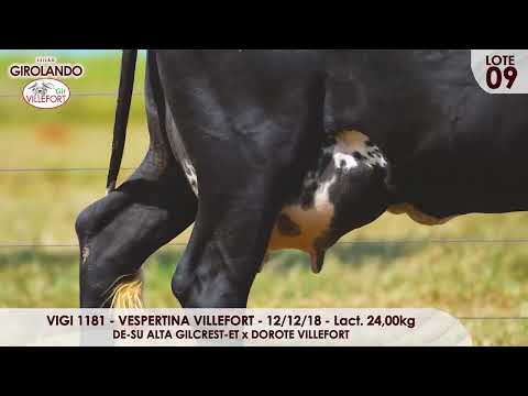 Lote 09   VIGI 1181