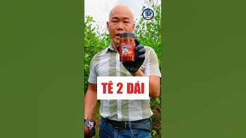 Lâm Vlog sốt chấm TÊ 2 D.Á.I :) #lamvlog #shorts #funny