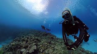 亀を探して 儀名 座間味ダイビング Insta360X5 - YouTube