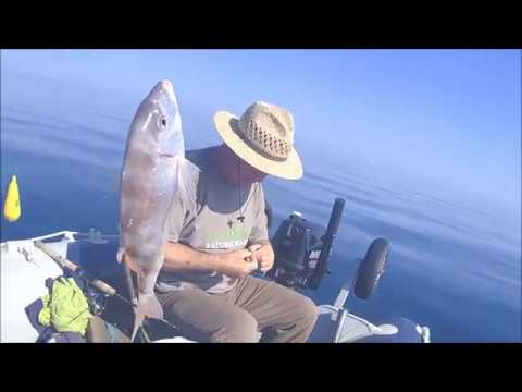 Video: Rdečeoke - Ribe Z Zelo Okusnim In Nežnim Mesom