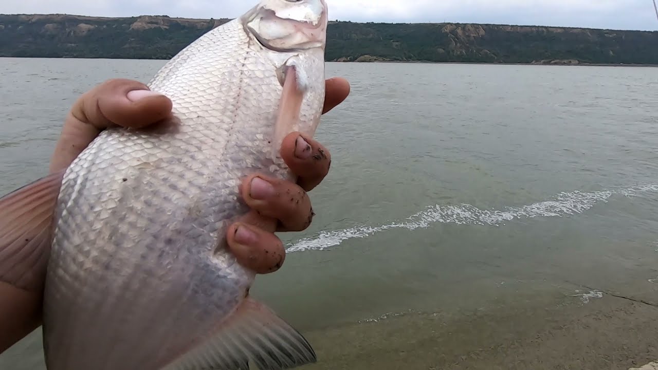 Am rupt platica mare pe siret