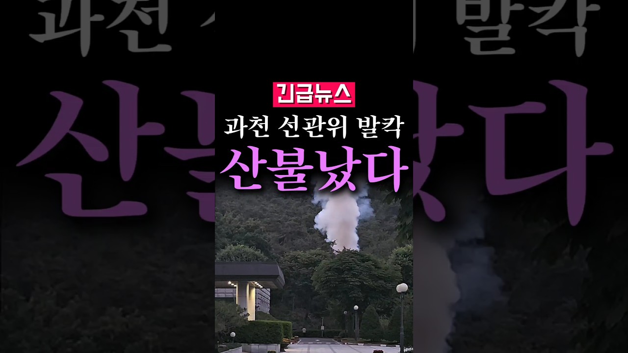 (속보) 과천 선관위 옆서 산불났다...발칵
