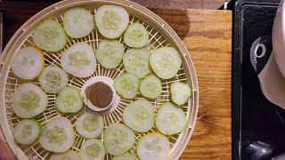 Making dehydrated pickle chips ~ salt and vinegar cucumber chips ~ keto friendly