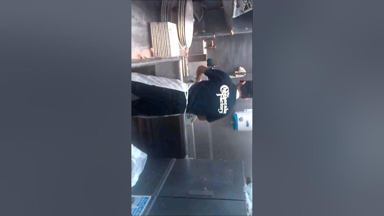 Fastest dishwasher in the world YouTube